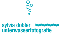 logo_von_sylvia_dobler_unterwasserfotografie_muenchen